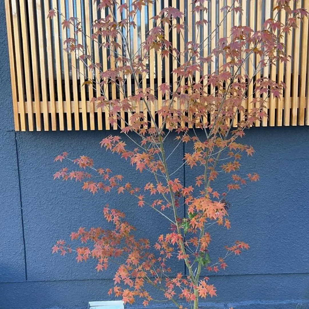 静雅の宿 Kyōto