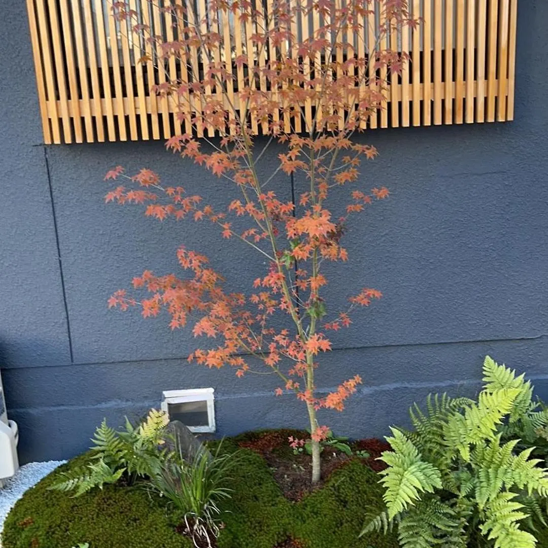 静雅の宿 Kyōto Giappone