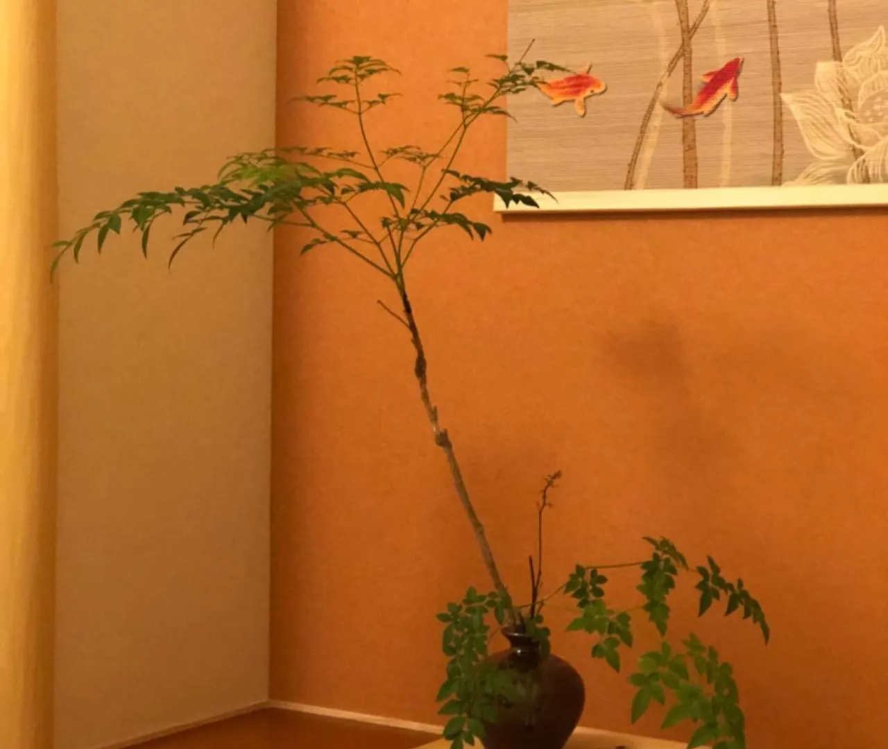 빌라 静雅の宿 교토